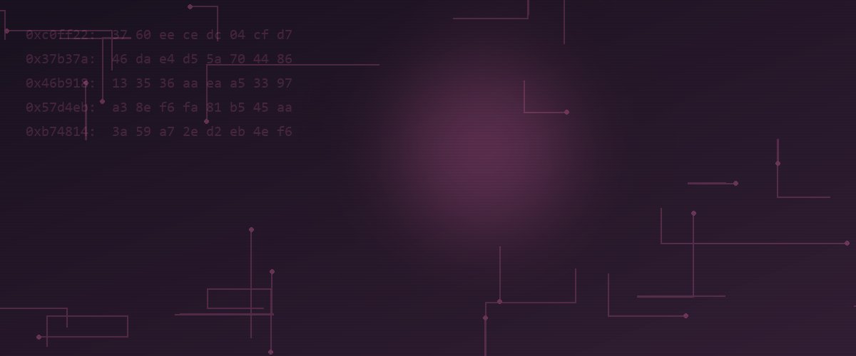 Featured image of post 入门 Web 签到题：SQL 注入基础利用